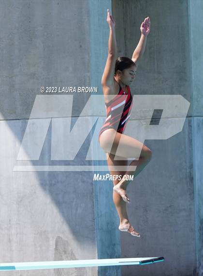 Thumbnail 2 in CIF State Diving Finals photogallery.