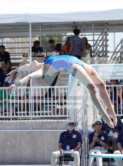 Thumbnail 2 in CIF State Diving Finals photogallery.