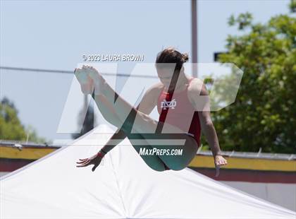 Thumbnail 1 in CIF State Diving Finals photogallery.