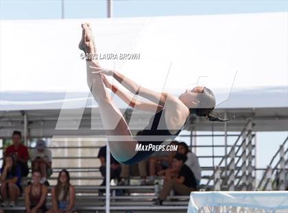 Thumbnail 1 in CIF State Diving Finals photogallery.