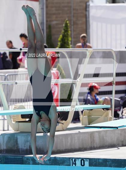 Thumbnail 1 in CIF State Diving Finals photogallery.