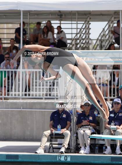 Thumbnail 2 in CIF State Diving Finals photogallery.