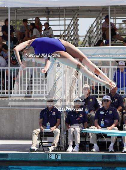 Thumbnail 1 in CIF State Diving Finals photogallery.