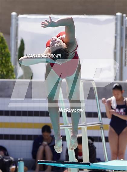 Thumbnail 1 in CIF State Diving Finals photogallery.
