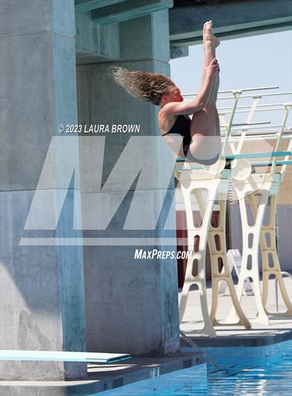 Thumbnail 1 in CIF State Diving Finals photogallery.