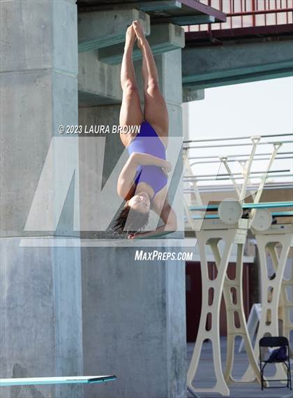 Thumbnail 1 in CIF State Diving Finals photogallery.
