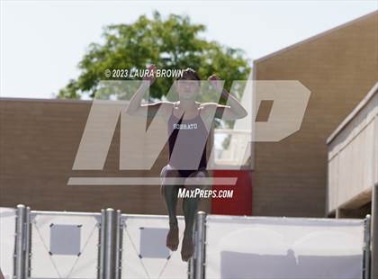 Thumbnail 1 in CIF State Diving Finals photogallery.