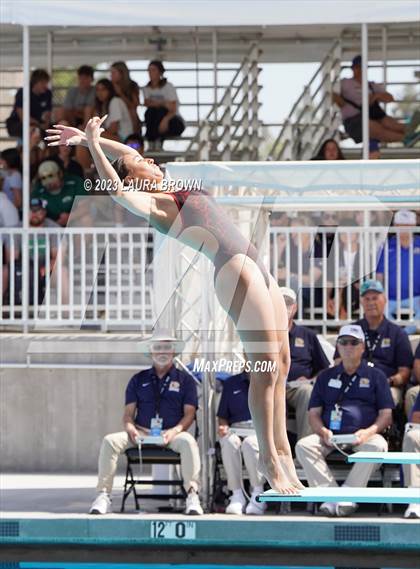 Thumbnail 1 in CIF State Diving Finals photogallery.