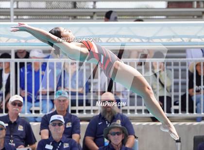 Thumbnail 3 in CIF State Diving Finals photogallery.