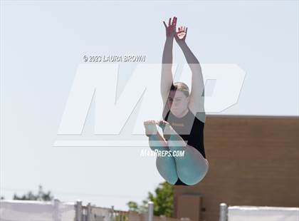 Thumbnail 2 in CIF State Diving Finals photogallery.