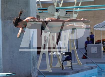 Thumbnail 2 in CIF State Diving Finals photogallery.