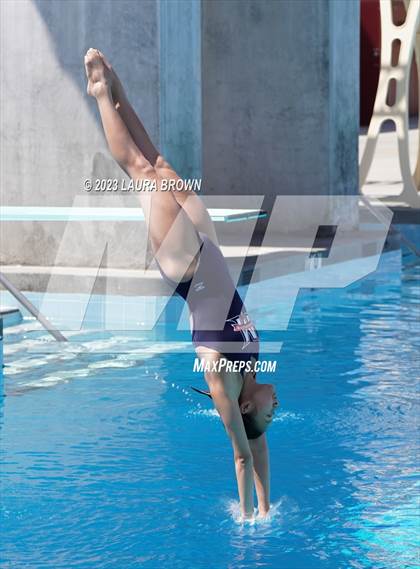Thumbnail 2 in CIF State Diving Finals photogallery.