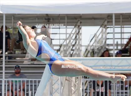 Thumbnail 2 in CIF State Diving Finals photogallery.
