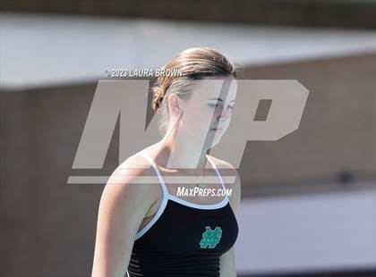 Thumbnail 3 in CIF State Diving Finals photogallery.