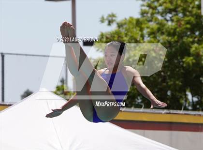 Thumbnail 3 in CIF State Diving Finals photogallery.