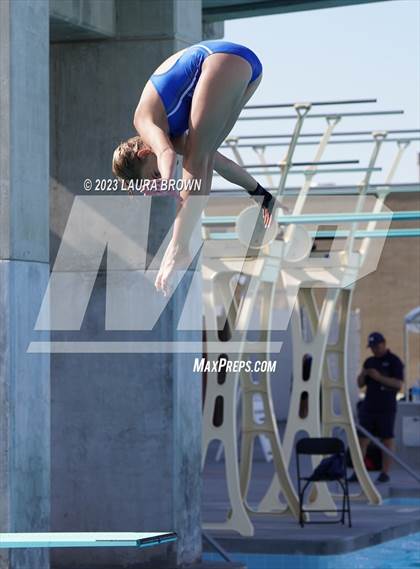 Thumbnail 3 in CIF State Diving Finals photogallery.