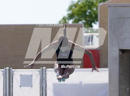 Thumbnail 3 in CIF State Diving Finals photogallery.