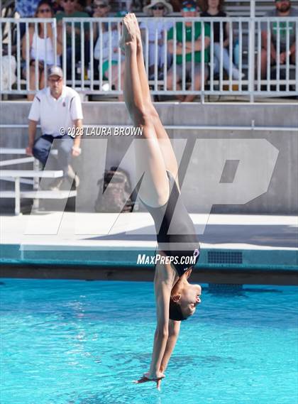 Thumbnail 2 in CIF State Diving Finals photogallery.