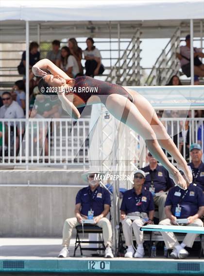 Thumbnail 2 in CIF State Diving Finals photogallery.