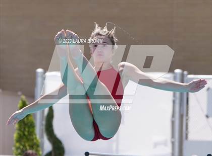 Thumbnail 2 in CIF State Diving Finals photogallery.
