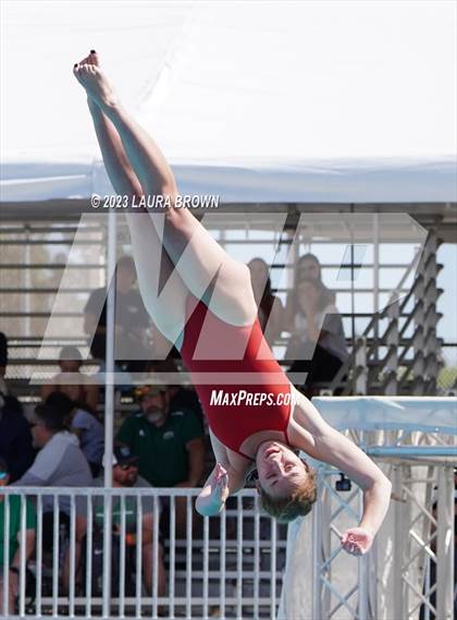Thumbnail 1 in CIF State Diving Finals photogallery.