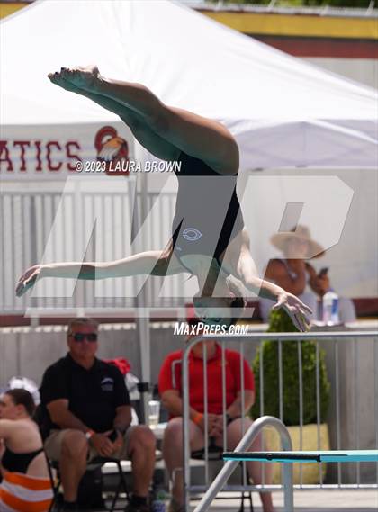 Thumbnail 2 in CIF State Diving Finals photogallery.