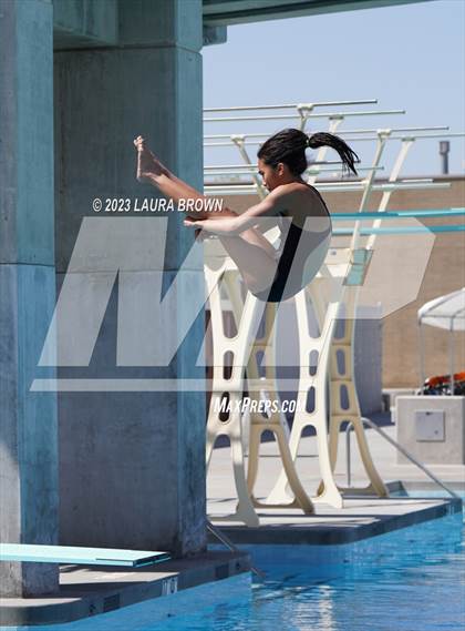 Thumbnail 3 in CIF State Diving Finals photogallery.
