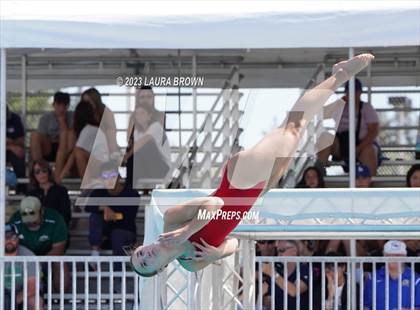 Thumbnail 1 in CIF State Diving Finals photogallery.