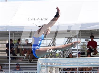 Thumbnail 1 in CIF State Diving Finals photogallery.