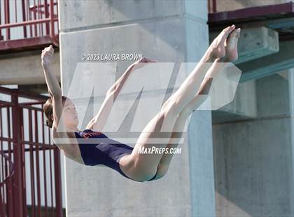 Thumbnail 1 in CIF State Diving Finals photogallery.