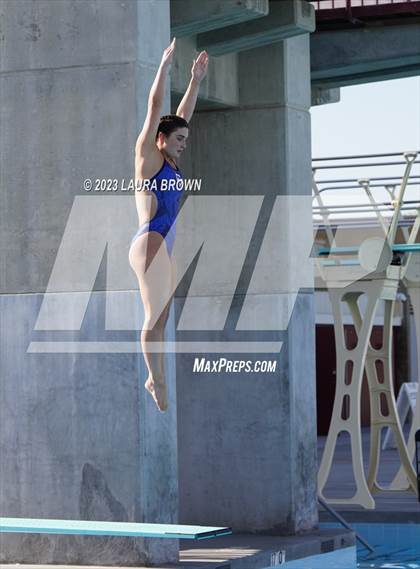 Thumbnail 2 in CIF State Diving Finals photogallery.
