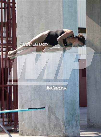 Thumbnail 3 in CIF State Diving Finals photogallery.