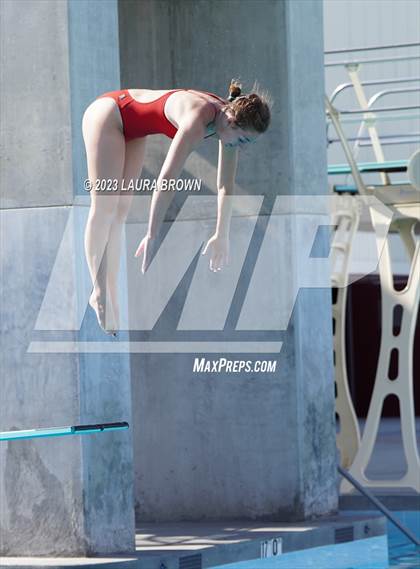 Thumbnail 3 in CIF State Diving Finals photogallery.