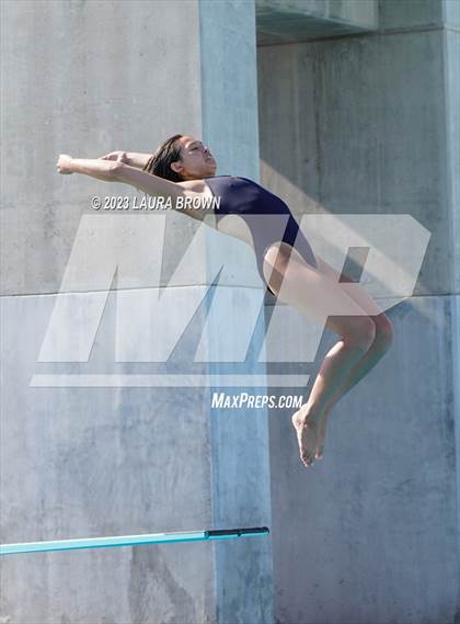 Thumbnail 1 in CIF State Diving Finals photogallery.