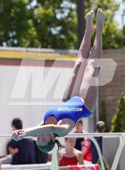 Thumbnail 1 in CIF State Diving Finals photogallery.