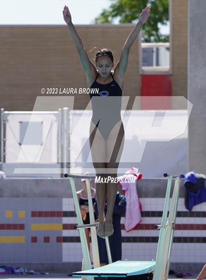 Thumbnail 1 in CIF State Diving Finals photogallery.
