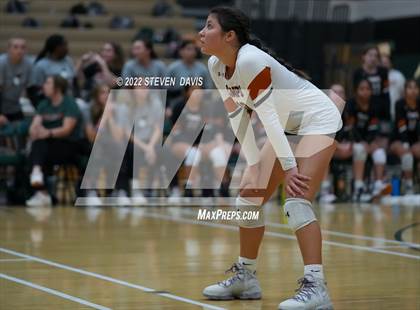 Thumbnail 1 in Canyon View @ Campo Verde photogallery.