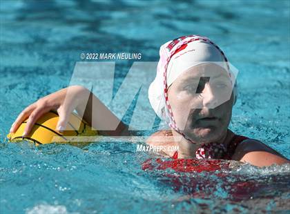 Thumbnail 3 in Burlingame @ Hillsdale photogallery.