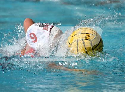 Thumbnail 1 in Burlingame @ Hillsdale photogallery.