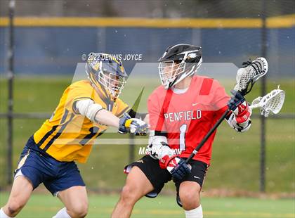Thumbnail 2 in Penfield @ West Genesee photogallery.
