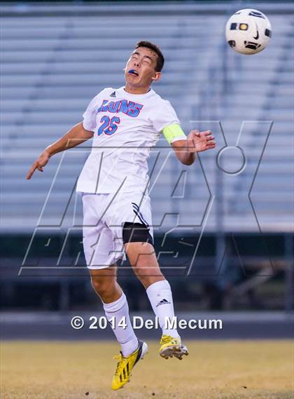 Thumbnail 3 in Newsome vs. King photogallery.