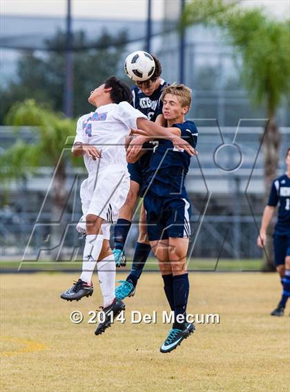 Thumbnail 3 in Newsome vs. King photogallery.