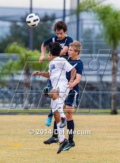 Thumbnail 2 in Newsome vs. King photogallery.