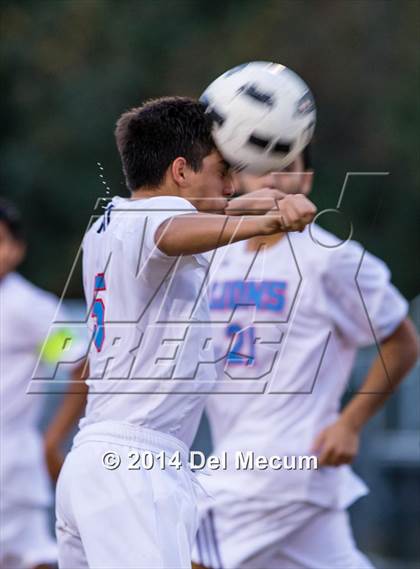 Thumbnail 3 in Newsome vs. King photogallery.