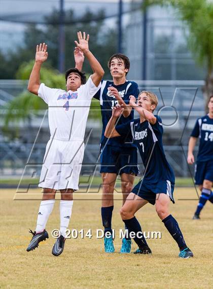 Thumbnail 1 in Newsome vs. King photogallery.