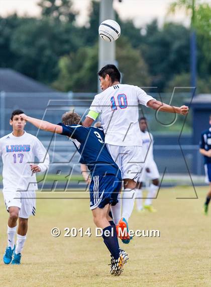 Thumbnail 3 in Newsome vs. King photogallery.