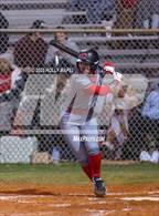 Photo from the gallery "Crestview @ Navarre"