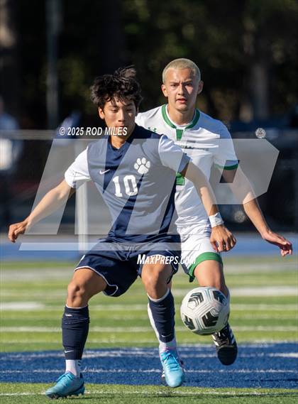 Thumbnail 3 in Archie Williams @ Marin Catholic photogallery.