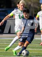 Photo from the gallery "Archie Williams @ Marin Catholic"