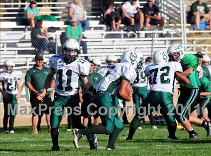 Thumbnail 1 in Burroughs @ Tehachapi photogallery.